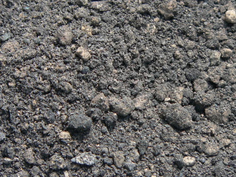 Environmental soil for treatability study.